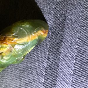 Drie Chinese jade riemgespen, 19e eeuw — foto 19