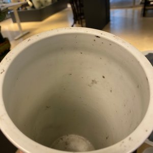 Drie Chinese qianjiang cai hoedensteunen, 19/20e eeuw — foto 34