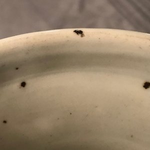 Drie Chinese vazen met blauw-wit decor op celadon fondkleur, 19e eeuw — foto 13