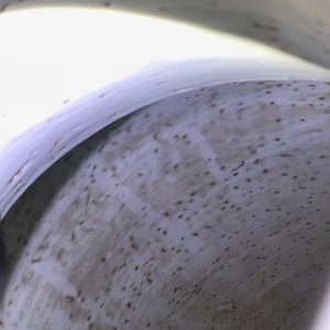 Drie Chinese vazen met blauwwit decor op celadon fondkleur, 19e eeuw — foto 9