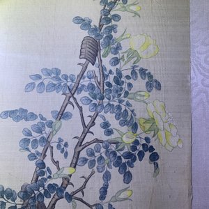 Ecole chinoise, 19ème, encre et couleurs sur soie: 'deux oiseaux sur branches fleuries' — photo 13