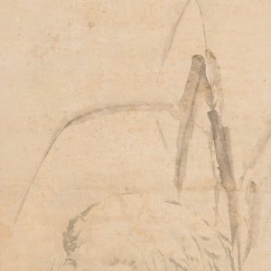 Ecole chinoise, anonyme, dans la collection de Shi Min 史敏 (1415-?): 'Héron et acorus', aquarelle sur papier, datée 1427 mais probablement plus tardive — photo 2