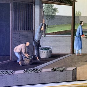 Ecole chinoise de Canton, aquarelle sur papier, 19ème: Quatre scènes sur la production du thé — photo 17