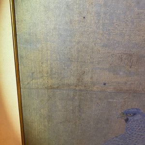 Ecole chinoise, encre et couleurs sur soie, 17/18ème: 'Un faucon de chasse' — photo 19
