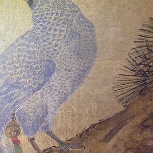 Ecole chinoise, encre et couleurs sur soie, 17/18ème: 'Un faucon de chasse' — photo 29
