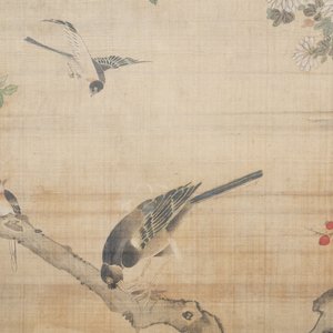 Ecole chinoise, encre et couleurs sur soie, 18/19ème: 'Des oiseaux et leurs proies' — photo 8