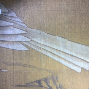 Ecole chinoise, encre et couleurs sur soie, 18/19ème: 'Quatre oiseaux sur rochers' — photo 20