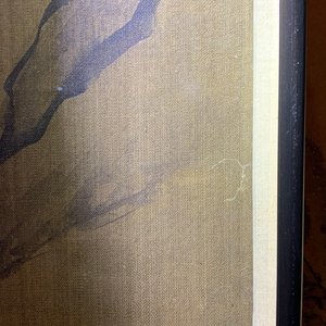 Ecole chinoise, encre et couleurs sur soie, 18/19ème: 'Quatre oiseaux sur rochers' — photo 22