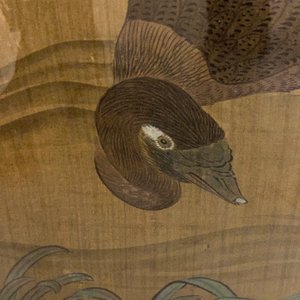 Ecole chinoise, encre et couleurs sur soie: 'Canards et oiseaux au bord d'une rivière', fin du Ming/début du Qing — photo 13
