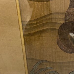 Ecole chinoise, encre et couleurs sur soie: 'Canards et oiseaux au bord d'une rivière', fin du Ming/début du Qing — photo 14