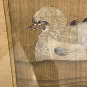 Ecole chinoise, encre et couleurs sur soie: 'Canards et oiseaux au bord d'une rivière', fin du Ming/début du Qing — photo 15