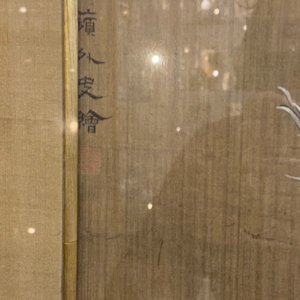 Ecole chinoise, encre et couleurs sur soie: 'Canards et oiseaux au bord d'une rivière', fin du Ming/début du Qing — photo 22