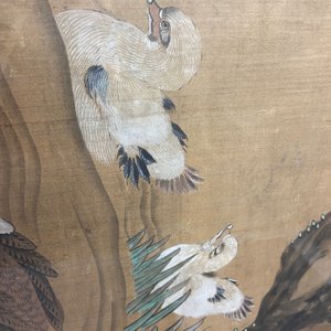 Ecole chinoise, encre et couleurs sur soie: 'Canards et oiseaux au bord d'une rivière', fin du Ming/début du Qing — photo 41