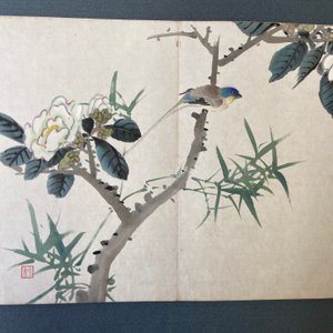 Ecole chinoise, encre et couleurs sur soie: un album figurant onze oiseaux et un écureuil, 19/20ème — photo 16