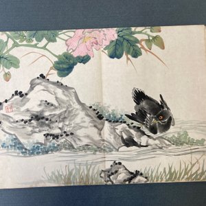 Ecole chinoise, encre et couleurs sur soie: un album figurant onze oiseaux et un écureuil, 19/20ème — photo 24