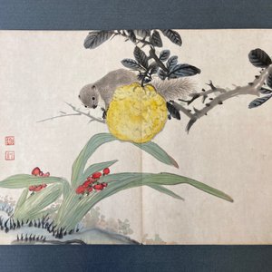 Ecole chinoise, encre et couleurs sur soie: un album figurant onze oiseaux et un écureuil, 19/20ème — photo 26