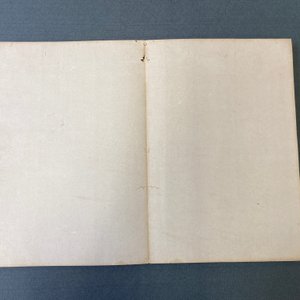 Ecole chinoise, encre et couleurs sur soie: un album figurant onze oiseaux et un écureuil, 19/20ème — photo 27