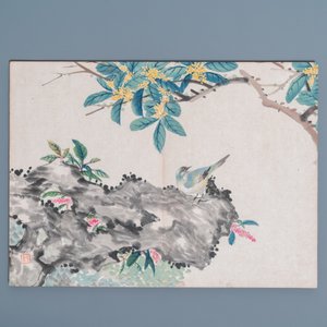Ecole chinoise, encre et couleurs sur soie: un album figurant onze oiseaux et un écureuil, 19/20ème — photo 5