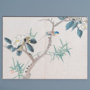 Ecole chinoise, encre et couleurs sur soie: un album figurant onze oiseaux et un écureuil, 19/20ème — photo 10