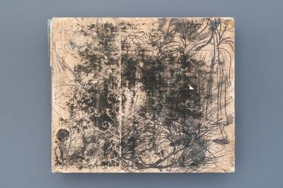 Ecole chinoise, Qing, 19ème: un album de 20 peintures, encre et couleurs sur soie, montées sur carton