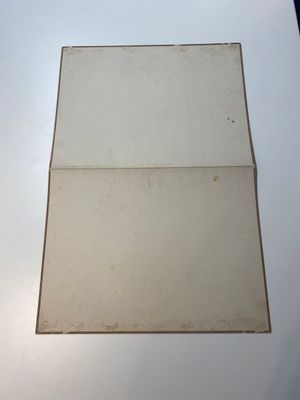 Ecole chinoise: Treize oeuvres diverses, encre et couleur sur papier et soie, signées Xiaocun 晓邨 et Futing 富廷, 19/20ème — photo 20