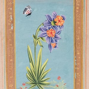 Ecoles indiennes et persanes: sept miniatures aux sujets figuratifs et floraux sur pages de Coran, 19/20ème — photo 10
