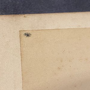 Een album met negen zilver gelatine albumine foto's, w.o. de Bund in Shanghai, gedat. 1899 — foto 56