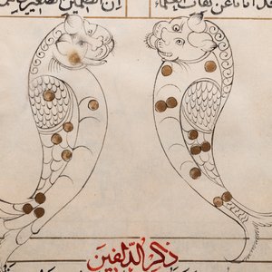 Een Arabisch sterrenkundig manuscript over de positie van sterren in relatie met poëzie, begin 20e eeuw — foto 18