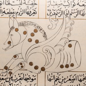Een Arabisch sterrenkundig manuscript over de positie van sterren in relatie met poëzie, begin 20e eeuw — foto 19