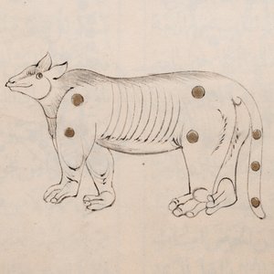 Een Arabisch sterrenkundig manuscript over de positie van sterren in relatie met poëzie, begin 20e eeuw — foto 20