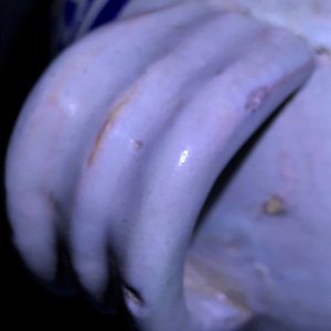 Een blauw-witte Antwerpse majolica siroopkan, gedateerd 1609 — foto 18
