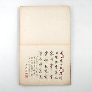 Een Chinees album met aquarellen en kalligrafie, 19/20e eeuw — foto 6