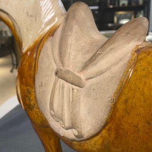 Een Chinees amber- en beige-geglazuurd aardewerken model van een paard, Tang — foto 13