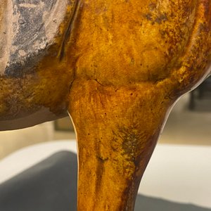 Een Chinees amber- en beige-geglazuurd aardewerken model van een paard, Tang — foto 22