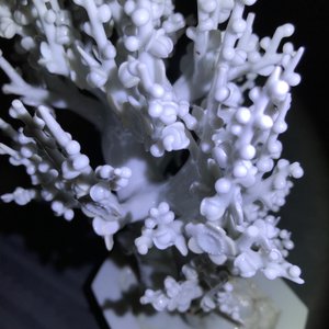 Een Chinees blanc de Chine model van een boom, Kangxi — foto 15