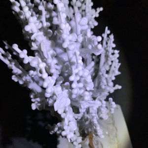Een Chinees blanc de Chine model van een boom, Kangxi — foto 16