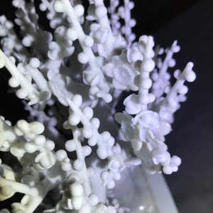Een Chinees blanc de Chine model van een boom, Kangxi — foto 20