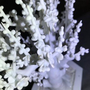 Een Chinees blanc de Chine model van een boom, Kangxi — foto 21