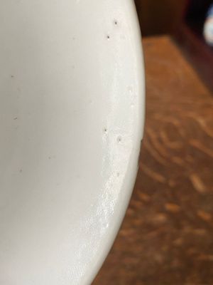 Een Chinees blauw-wit 'Bleu de Hue' bord voor de Vietnamese markt, Nhat merk, 19e eeuw — foto 6