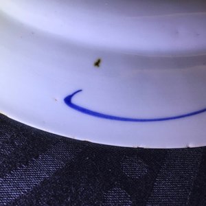 Een Chinees blauw-wit bord naar Delfts voorbeeld, Qianlong, 18e eeuw — foto 5