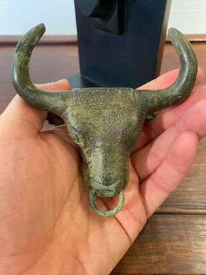 Een Chinees bronzen ornament in de vorm van een stierenkop, Periode der Strijdende Staten — foto 6