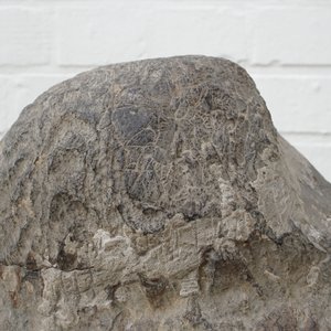 Een Chinees hoofd van Boeddha in kalksteen, noordelijke Wei Dynastie (386-535) — foto 18