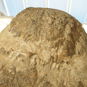 Een Chinees hoofd van Boeddha in kalksteen, noordelijke Wei Dynastie (386-535) — foto 13