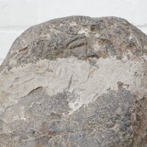 Een Chinees hoofd van Boeddha in kalksteen, noordelijke Wei Dynastie (386-535) — foto 17