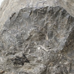 Een Chinees hoofd van Boeddha in kalksteen, noordelijke Wei Dynastie (386-535) — foto 25
