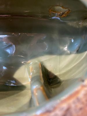 Een Chinees Longquan celadon schrijn met Guanyin, wellicht Ming — foto 16