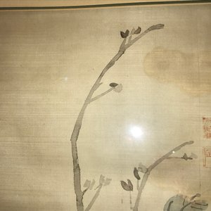 Een Chinees schilderij op zijde met pioenrozen, 19e eeuw — foto 18