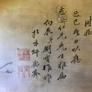 Een Chinees schilderij op zijde met pioenrozen, 19e eeuw — foto 5