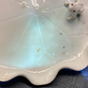Een Chinese blanc de Chine penselenwasser met een kikker op lotusblad op houten 'lotus' sokkel, Kangxi/Yongzheng — foto 13