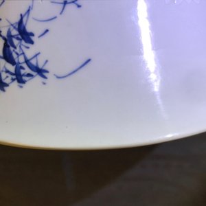 Een Chinese blauw-witte 'bianco sopra bianco' yenyen vaas met vogels bij bloesems, Kangxi — foto 12